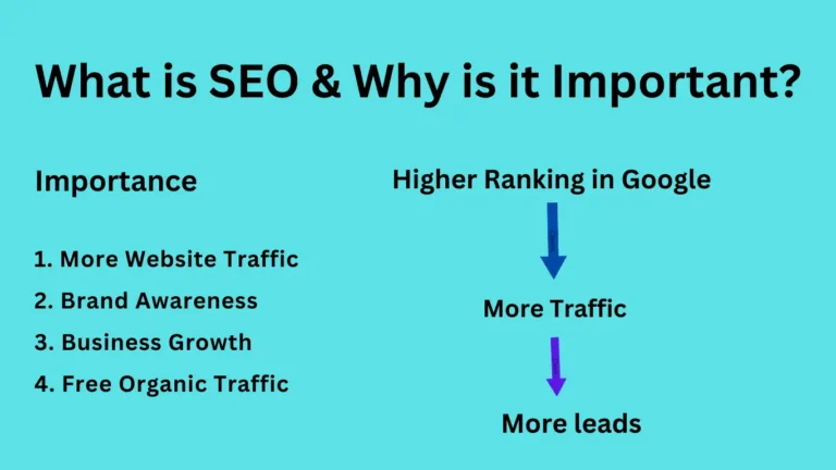 What is SEO & Why is it Important?